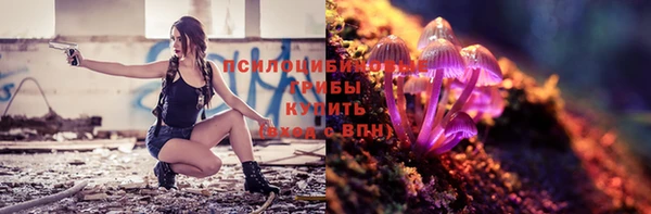крисы Майский