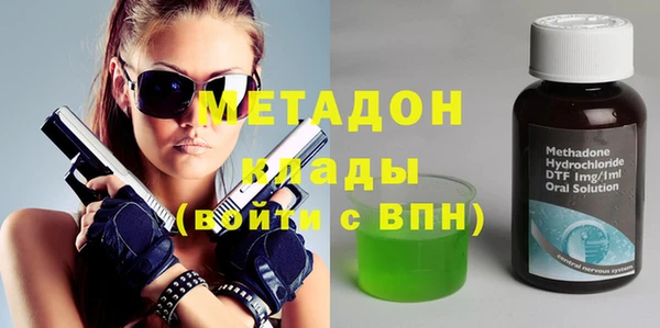 прущие грибы Магадан