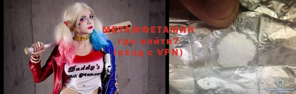 прущие грибы Магадан