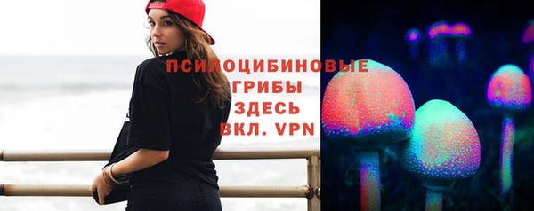 крисы Майский