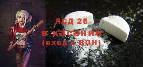 прущие грибы Магадан