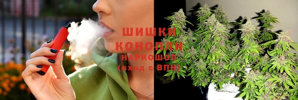 прущие грибы Магадан