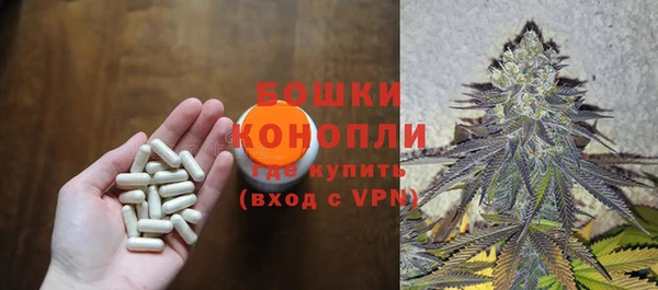 крисы Майский