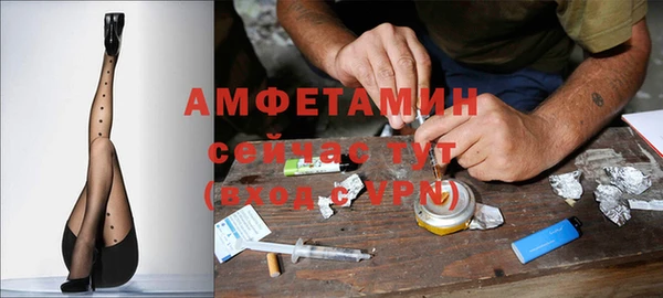 прущие грибы Магадан