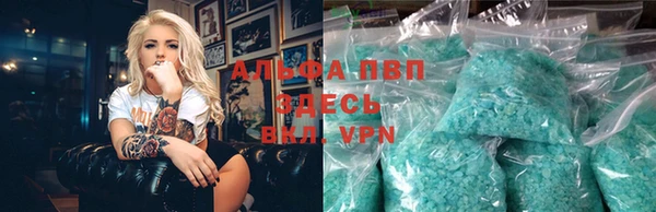 прущие грибы Магадан