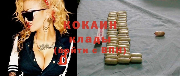 прущие грибы Магадан